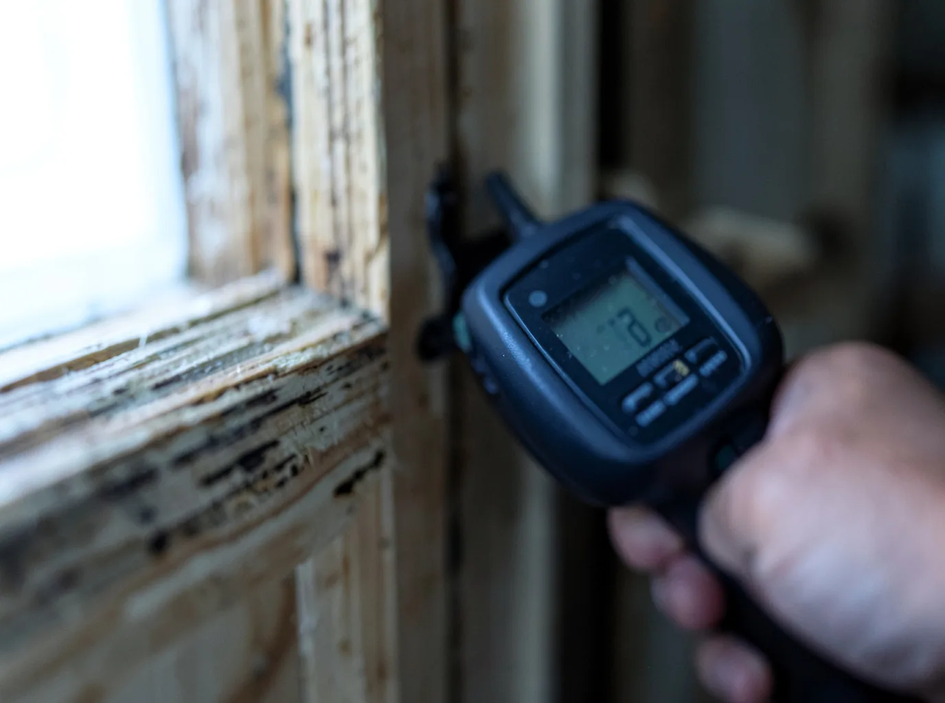 Commercial Water Damage Restoration in Scandia, MN